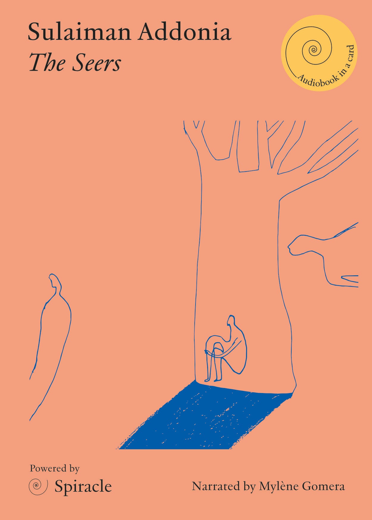 The Seers by Sulaiman Addonia