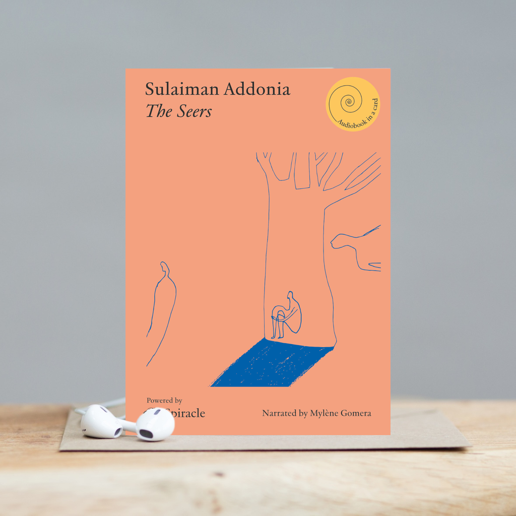 The Seers by Sulaiman Addonia