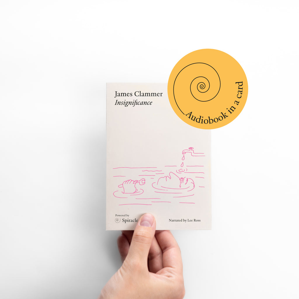 Insignificance by James Clammer