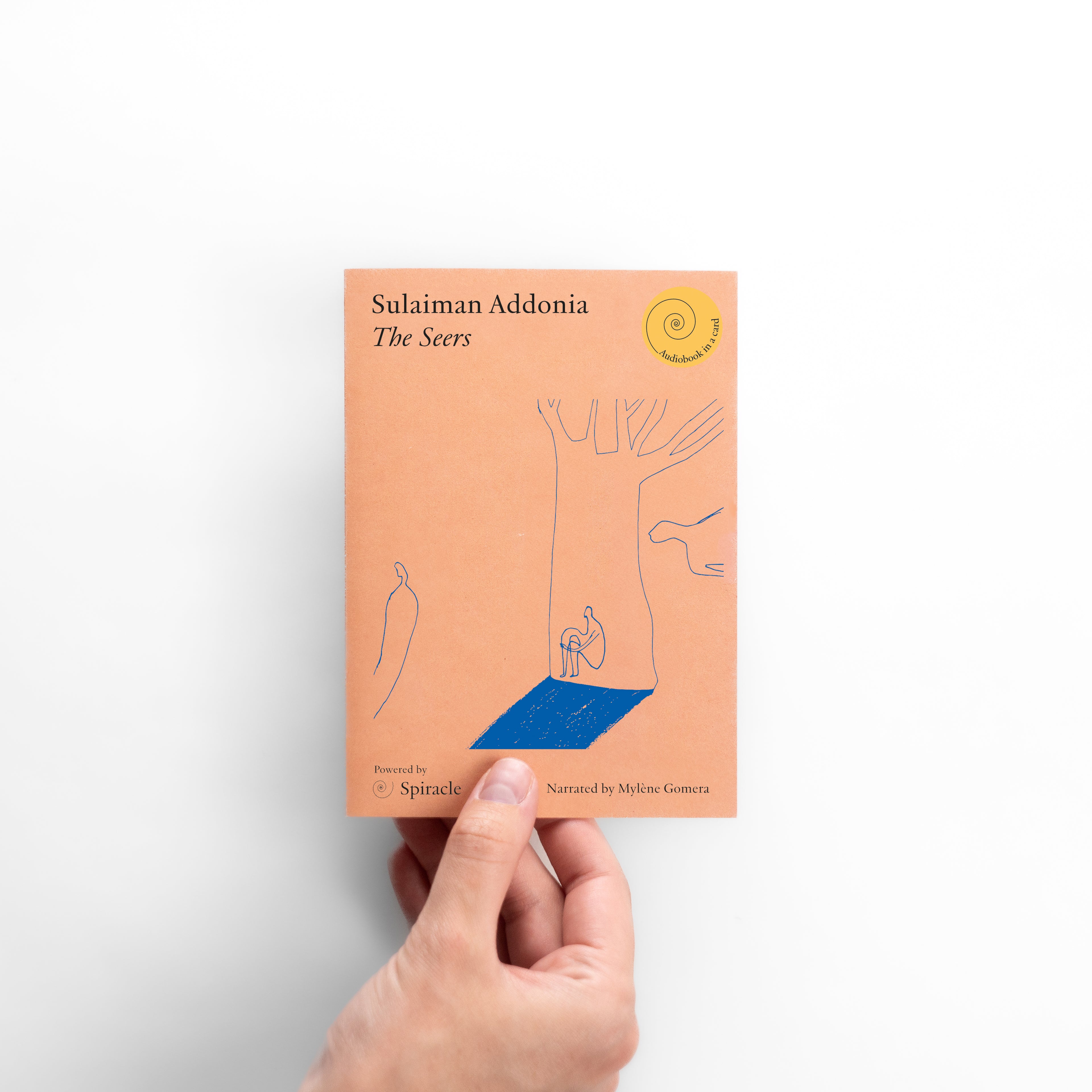 The Seers by Sulaiman Addonia