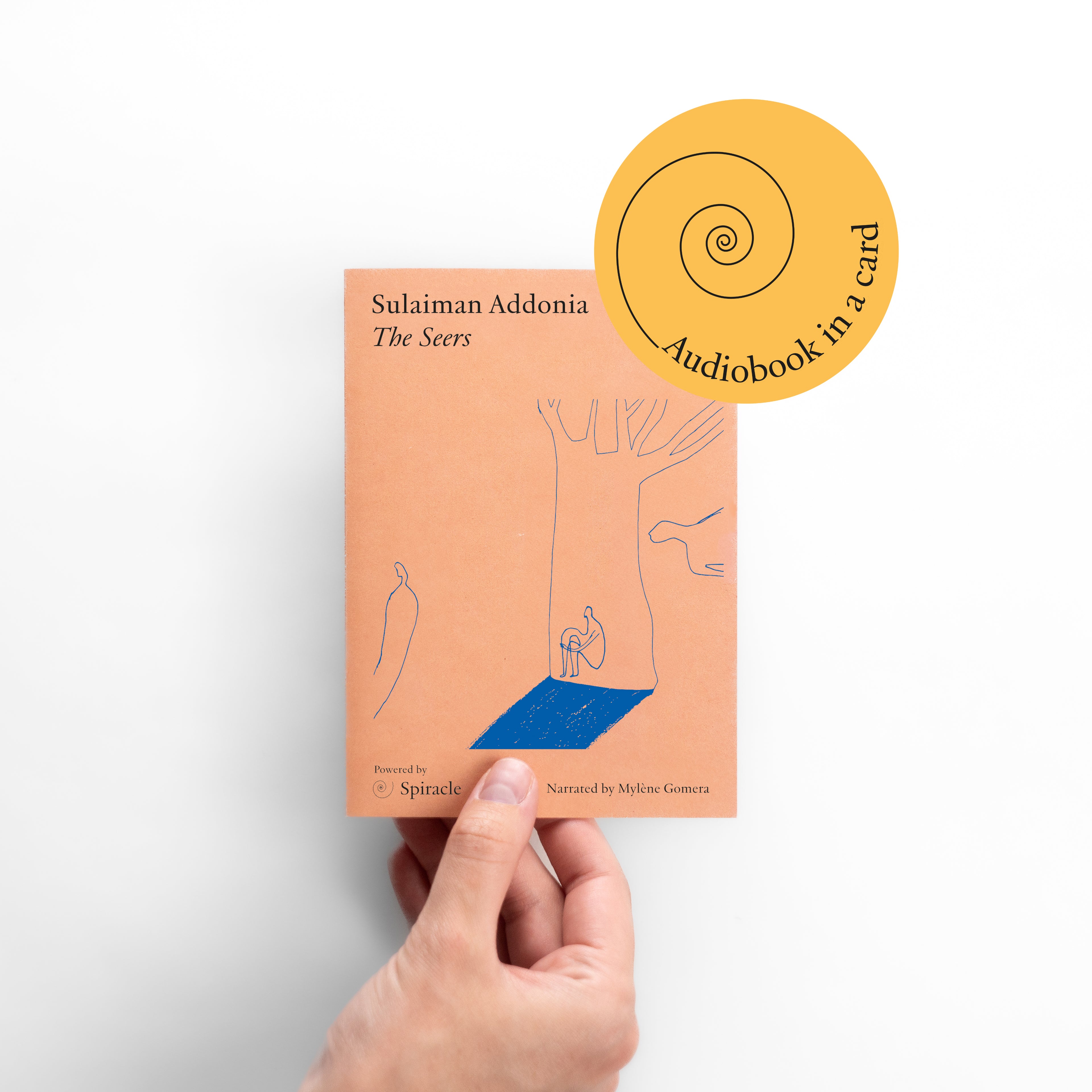 The Seers by Sulaiman Addonia