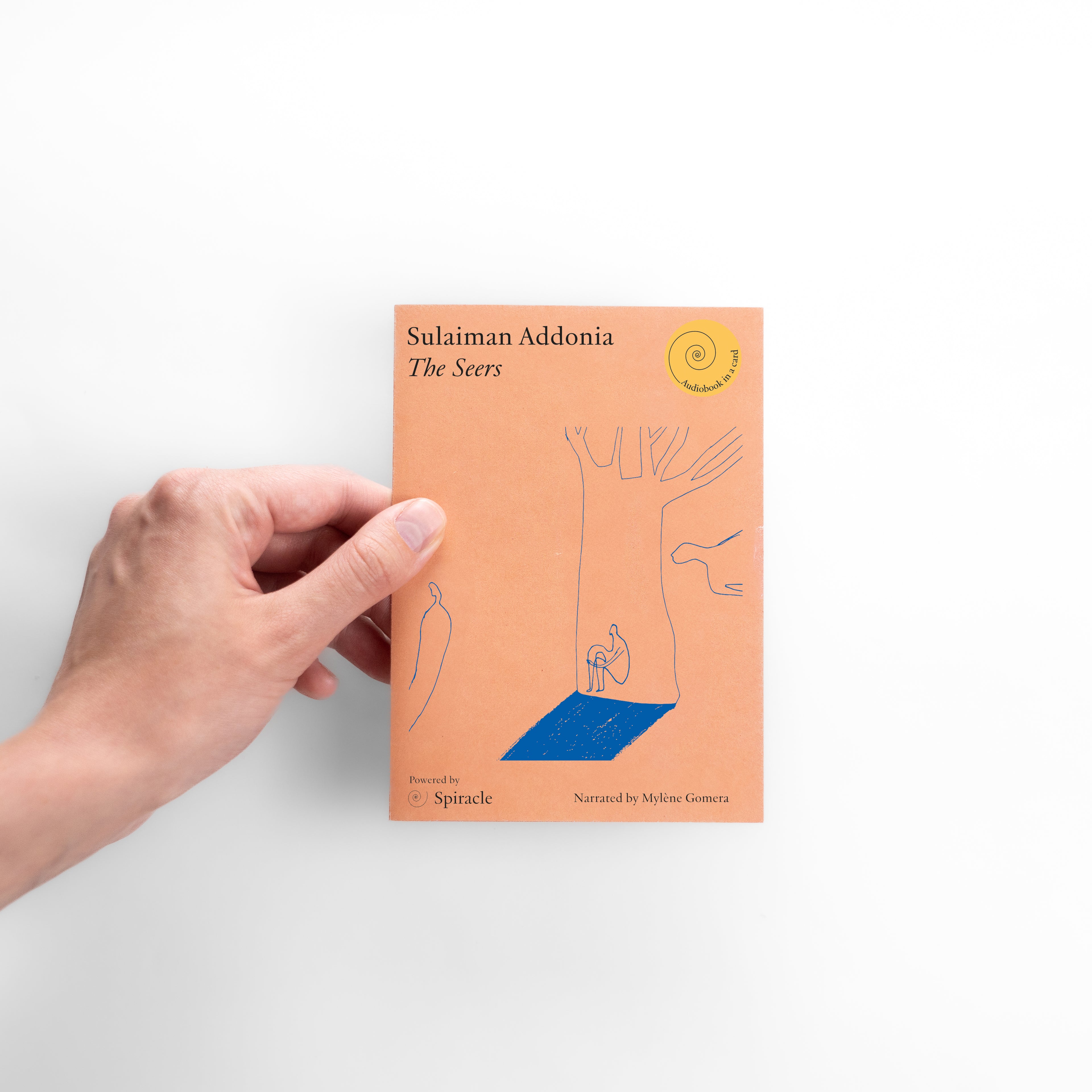 The Seers by Sulaiman Addonia