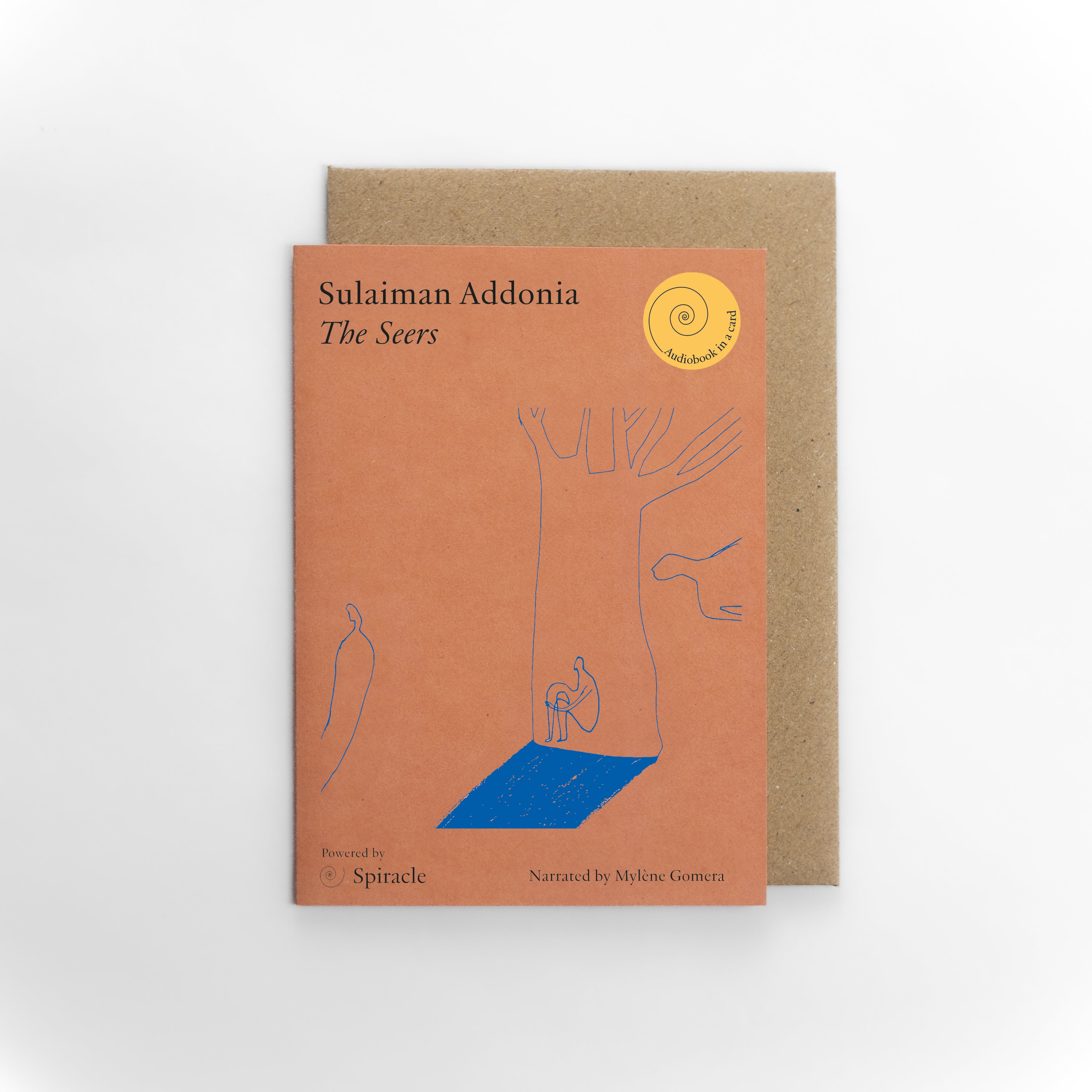 The Seers by Sulaiman Addonia