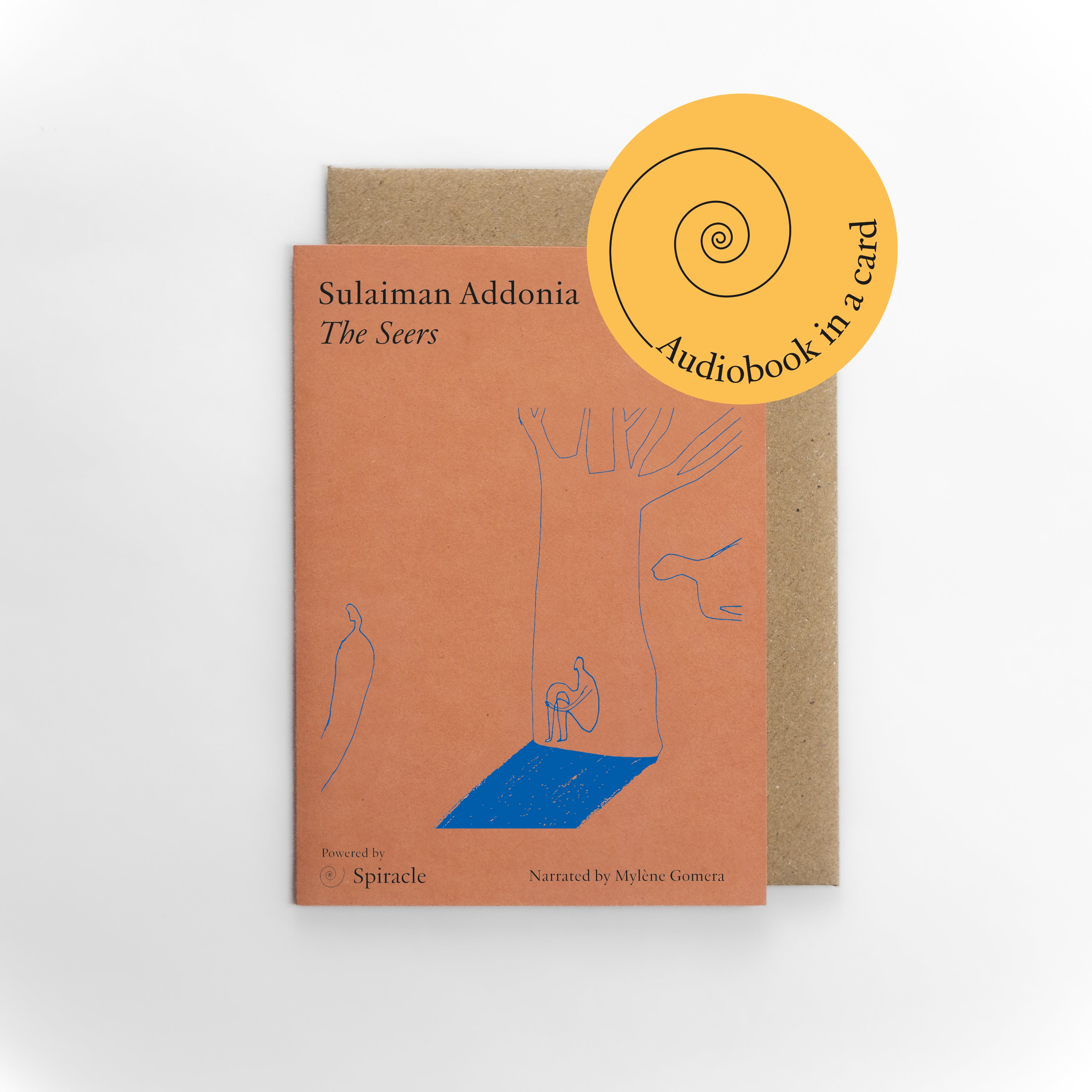 The Seers by Sulaiman Addonia