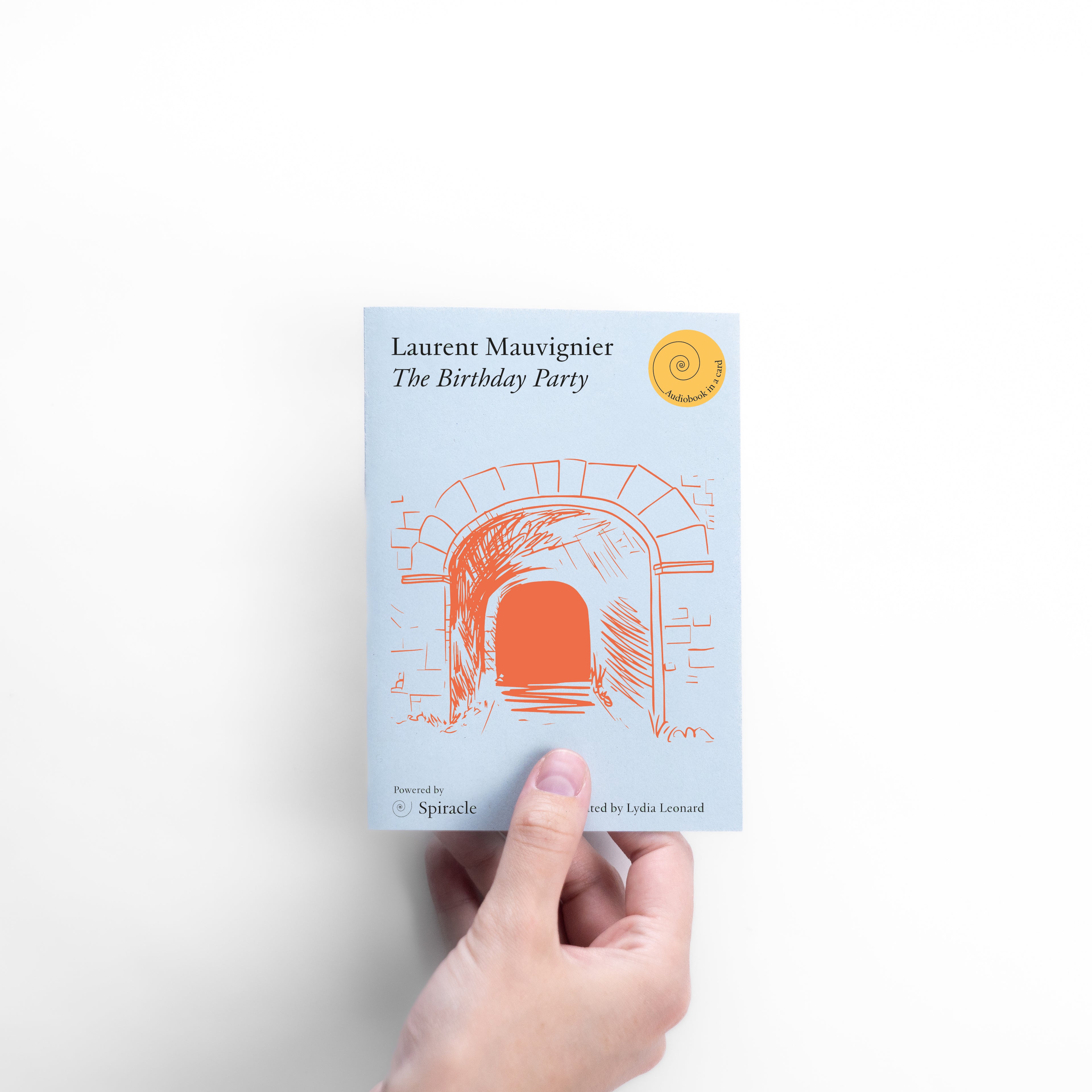 The Birthday Party by Laurent Mauvignier