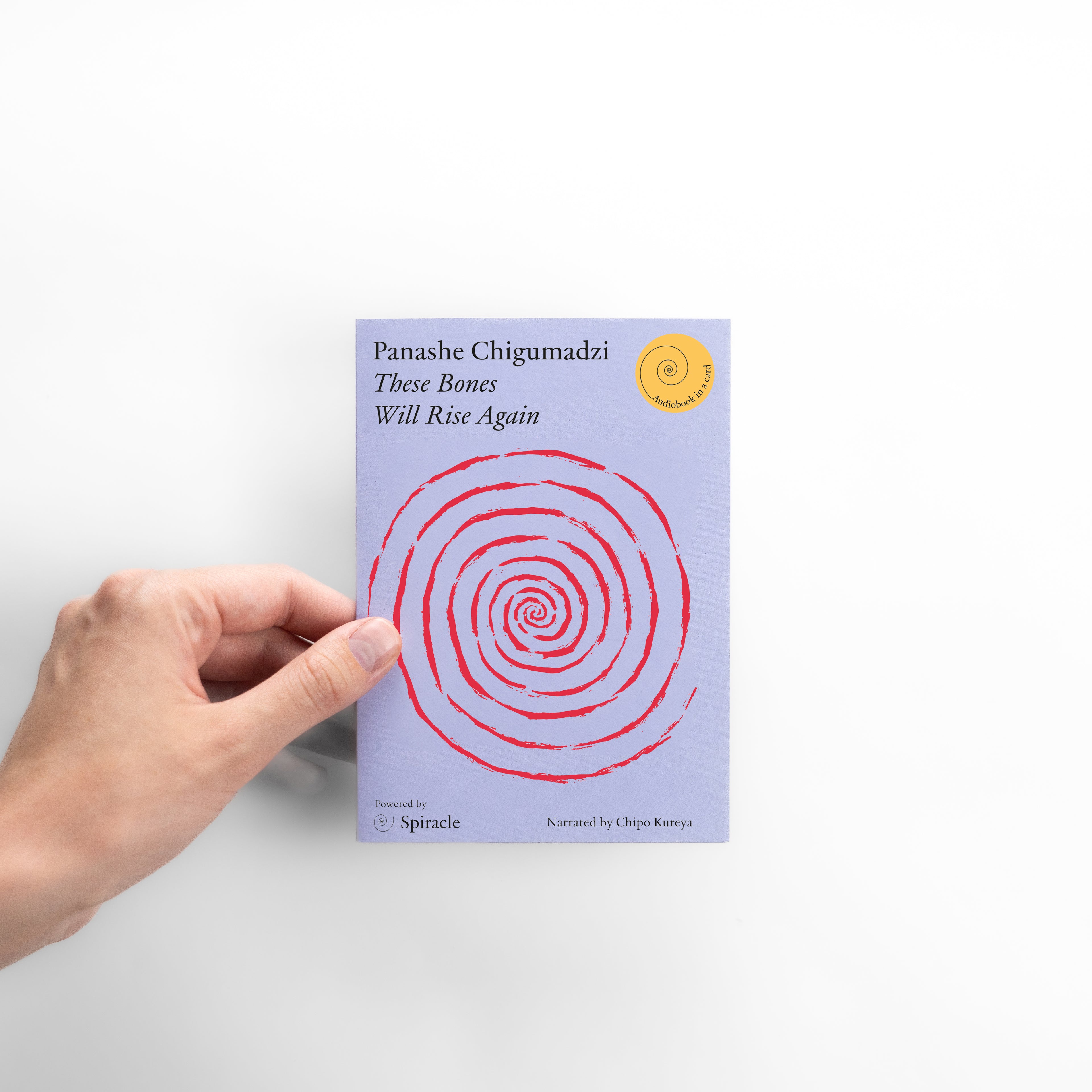 These Bones Will Rise Again by Panache Chigumadzi