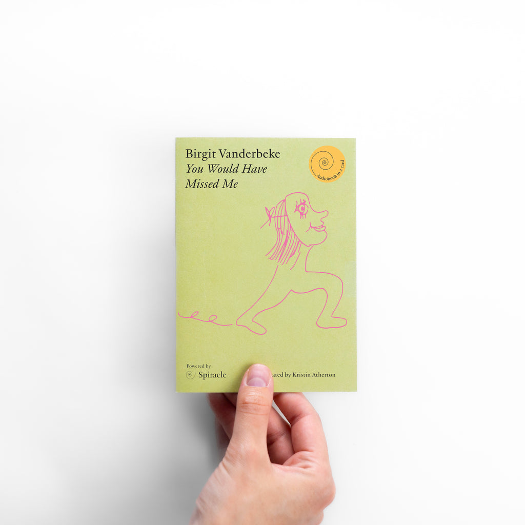 You Would Have Missed Me by Birgit Vanderbeke